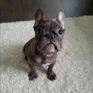 Meet your Posher, Suesanna